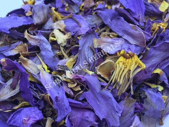 Blue Lotus Nymphaea Caerulea 1 Kg Organic Flower Etsy Israel
