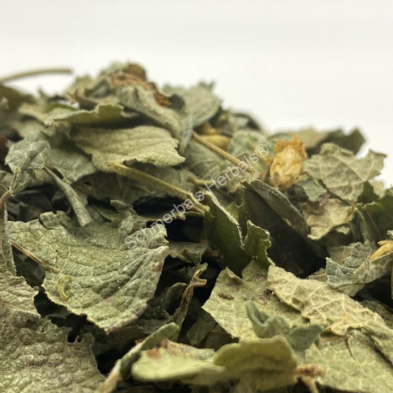 Dried All Natural Mexican Dream Herb Leaf, Calea Zacatechichi (Calea ternifolia) for sale from Schmerbals Herbals