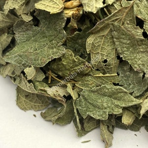 Dried All Natural Mexican Dream Herb Leaf, Calea Zacatechichi (Calea ternifolia) for sale from Schmerbals Herbals