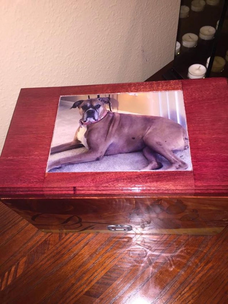 Pet Cremation Box Etsy