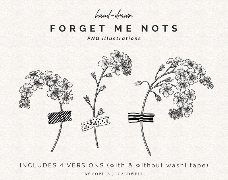 Me Nots Flower Digital Stamps Floral Clipart Etsy