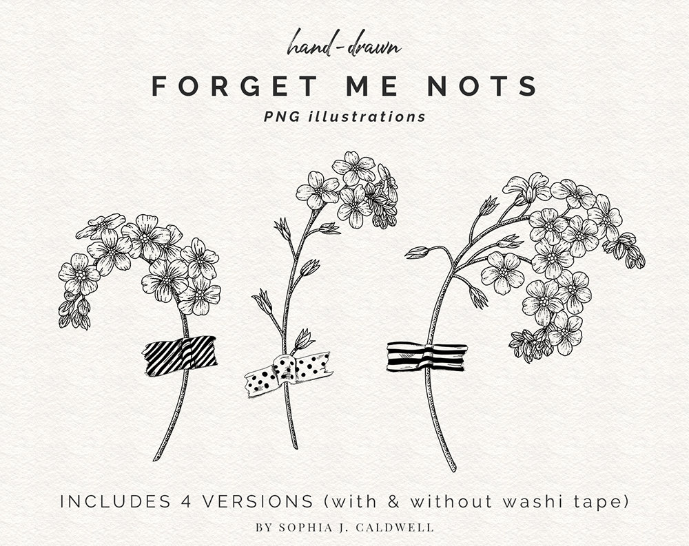 Forget Me Nots Flower Digital Stamps Floral Clipart Etsy