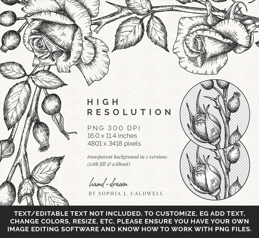 Rose Floral Digital Border Frame
