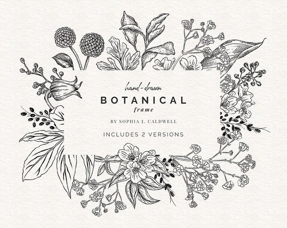 Floral Digital Border Frame, Black and White Hand Drawn Flower PNG, Floral  Frame Invite, Rectangular, Floral Clipart, Line, Commercial Use - Etsy