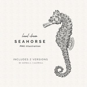 Clipart de cavalo marinho, carimbo digital, linha preta e branca, PNG de cavalo marinho, contorno desenhado à mão, berçário de bebê, uso comercial OK, arte de parede náutica