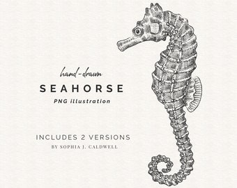 Seahorse Clipart, Digital Stamp, Black White Line, Seahorse PNG, Hand Drawn Outline, Baby Nursery, Commercial Use OK, Nautical Wall Art
