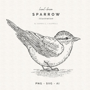 Sparrow SVG, preto e branco desenhado à mão PNG, arte de pássaro, clipart de linha, carimbo Digi, download instantâneo, imagem vetorial de pássaro, uso comercial, chapim