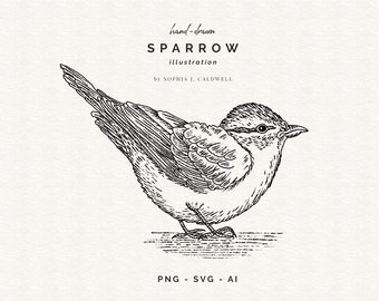 Sparrow SVG, Black White Hand Drawn PNG, Bird Art, Line Clipart, Digi Stamp, Instant Download, Bird Vector Image, Commercial Use, Chickadee