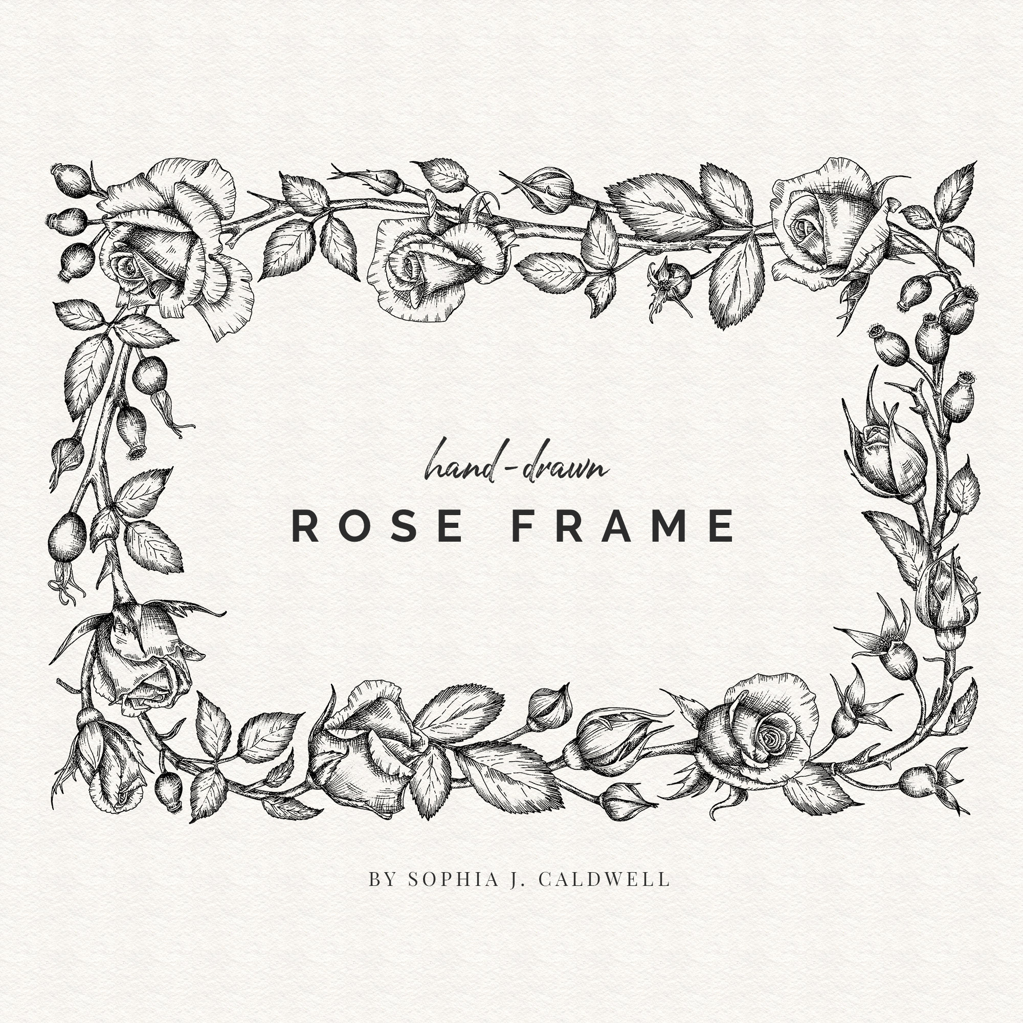 Marco de borde digital floral rosa, PNG botánico dibujado a mano en blanco  negro, invitación de marco floral, rectangular 5x7, imágenes prediseñadas  de flores, uso comercial - Etsy México, image size:2000x2000