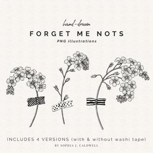 Selos digitais de flores de Forget Me Nots, clipart floral, uso comercial OK, ilustrações vintage PNG, desenhos botânicos de fita Washi, para impressão