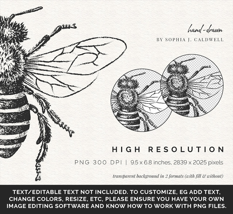 May include: A black and white hand-drawn illustration of a bee with detailed wings. The image is high resolution and has a transparent background. The text "hand-drawn" and "BY SOPHIA J. CALDWELL" is included in the image. The text "HIGH RESOLUTION" is also included in the image, along with the details "PNG 300 DPI | 9.5 x 6.8 inches, 2839 x 2025 pixels". The text "transparent background in 2 formats (with fill & without)" is also included in the image. The text "TEXT/EDITABLE TEXT NOT INCLUDED. TO CUSTOMIZE, EG ADD TEXT, CHANGE COLORS, RESIZE, ETC, PLEASE ENSURE YOU HAVE YOUR OWN IMAGE EDITING SOFTWARE AND KNOW HOW TO WORK WITH PNG FILES." is also included in the image.