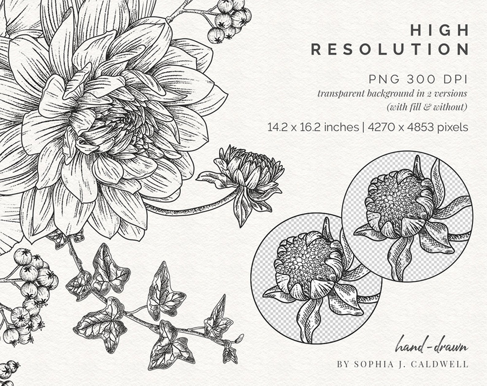 Black and White Digital Floral Bouquet PNG Wedding Clipart | Etsy