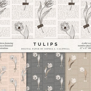 Papel digital de tulipas, padrão de impressão de poesia sem costura, chique gasto vintage, fundo de caligrafia, pano de fundo floral, creme dourado cinza rosa