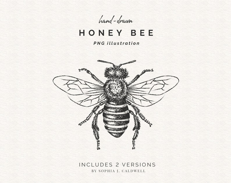 May include: A hand-drawn illustration of a honey bee in black and white. The bee is facing forward with its wings spread out. The text "hand-drawn HONEY BEE PNG illustration" is above the bee. The text "INCLUDES 2 VERSIONS BY SOPHIA J. CALDWELL" is below the bee.