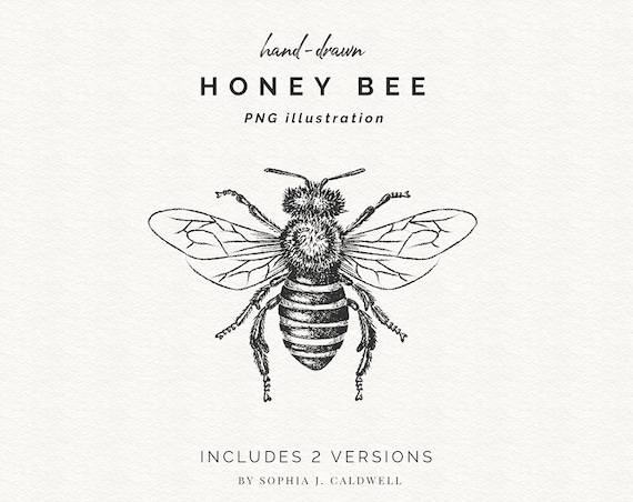 Bee Creative - Black Fine Point Sharpie – Honey Bee Stamps