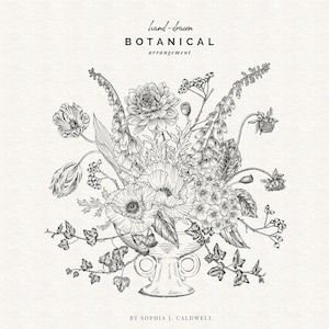 Clipart floral desenhado à mão, buquê digital preto e branco tigela com pés vintage, contorno digital, buquê floral estilo renascentista PNG, compota