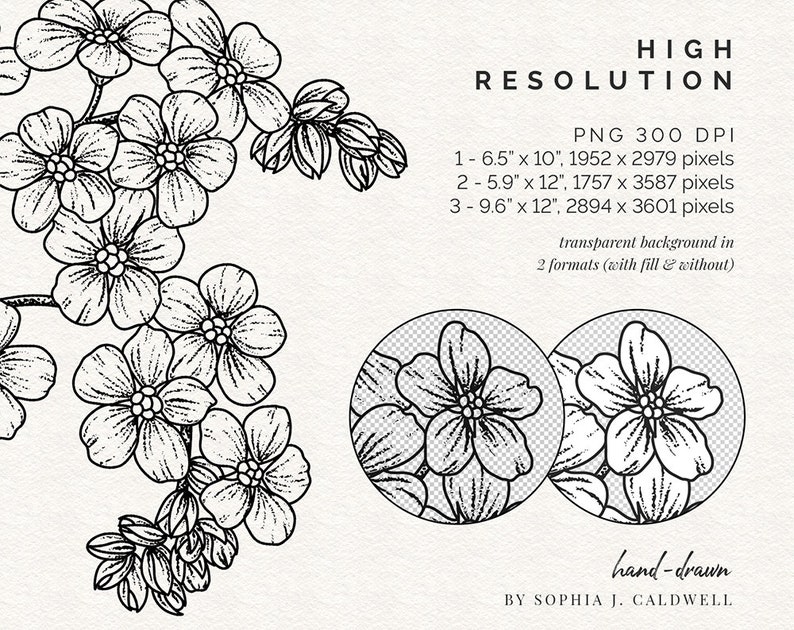 Me Nots Flower Digital Stamps Floral Clipart Etsy UK