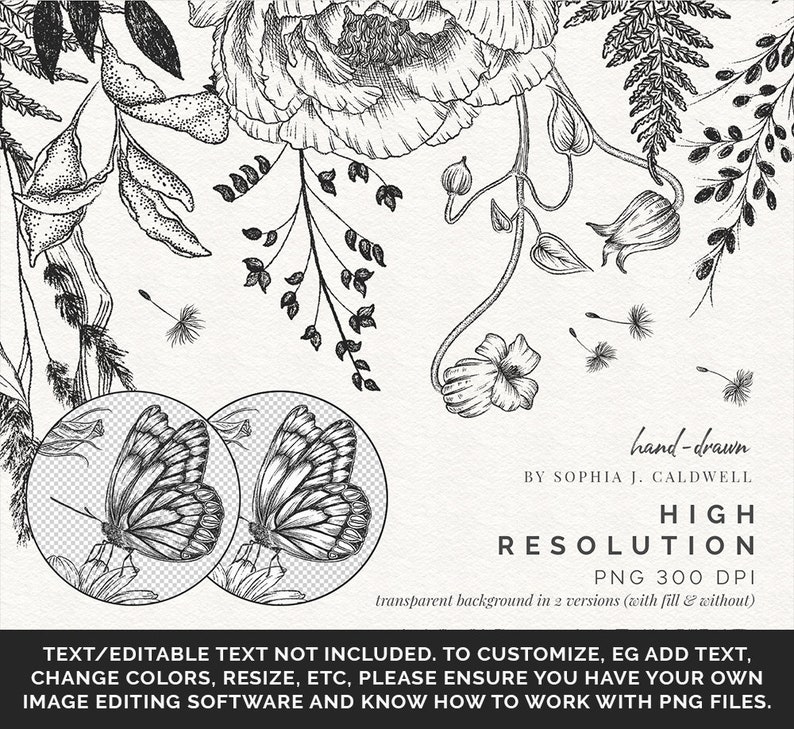 K&ouml;nnte beinhalten: Schwarzwei&szlig;-Handzeichnung eines Schmetterlings, Blumen und Bl&auml;ttern. Das Bild ist hochaufl&ouml;send und hat einen transparenten Hintergrund. Der Text "Handgezeichnet von Sophia J. Caldwell. Hohe Aufl&ouml;sung. PNG 300 DPI. Transparenter Hintergrund in 2 Versionen (mit F&uuml;llung und ohne)" ist im Bild enthalten.