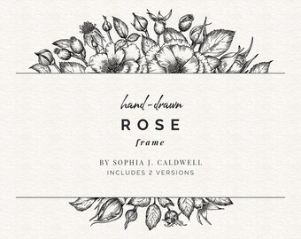 Rose Line Drawing Border Frame, Botanical Floral Clip Art, Black and White, Doodle Floral Clipart, Hand-Drawn, Vintage, Rose PNG, Commercial