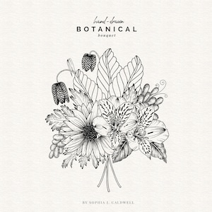 Buquê floral digital PNG, clipart de flores modernas, clipart preto e branco, uso comercial OK, desenho de linha, margarida, baga, lírio, clipart floral