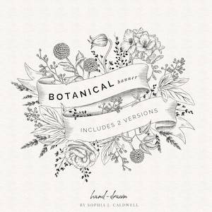 Clipart de banner floral, PNG digital de flores desenhadas à mão em preto e branco, uso comercial, desenho de rolagem de fita vintage, moldura botânica, Digi