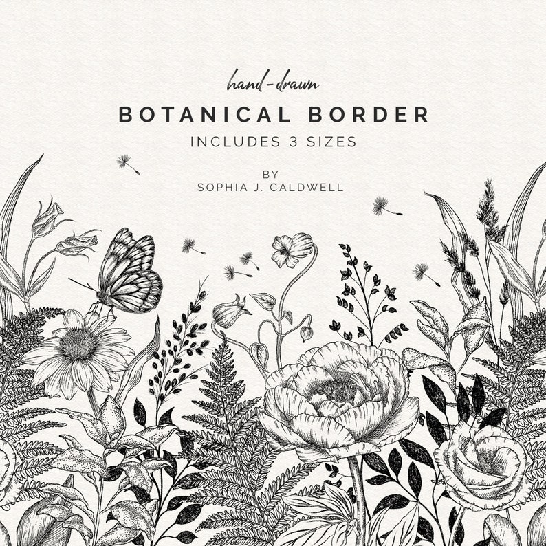 K&ouml;nnte beinhalten: Schwarzwei&szlig;es handgezeichnetes botanisches Bord&uuml;ren-Motiv mit einem Schmetterling, Blumen und Bl&auml;ttern. Der Text "hand-drawn BOTANICAL BORDER INCLUDES 3 SIZES BY SOPHIA J. CALDWELL" ist im Bild enthalten.