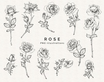 Contour des cliparts roses, fichiers PNG, dessin au trait, floral botanique, téléchargement numérique, noir et blanc, dessiné à la main, Style vintage, usage Commercial