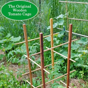 May include: A wooden tomato cage with a tomato plant growing inside. The cage is made of natural wood and has a rectangular shape. The cage is surrounded by green grass and brown mulch.