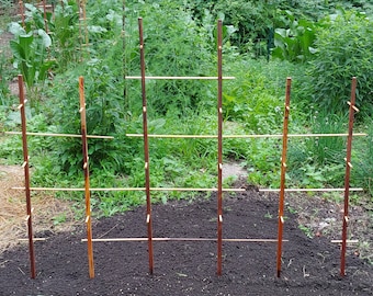 Plant Play Ground - Hardwood Trellis, for Active Plants