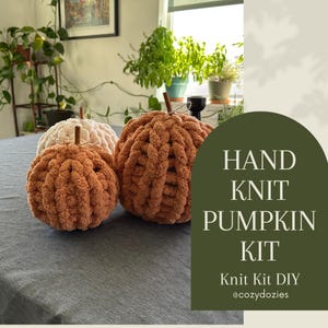 Chunky Knit Pumpkin Kit: DIY Autumn Decor with Yarn & Cinnamon Sticks (PDF Instructions)
