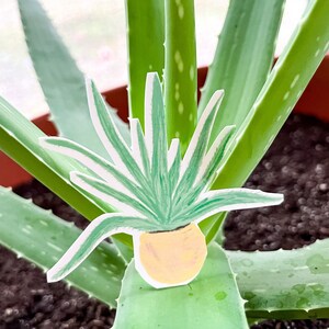 Aloe Plant, Plant Lover, Succulent, Waterproof Vinyl Decal Sticker
