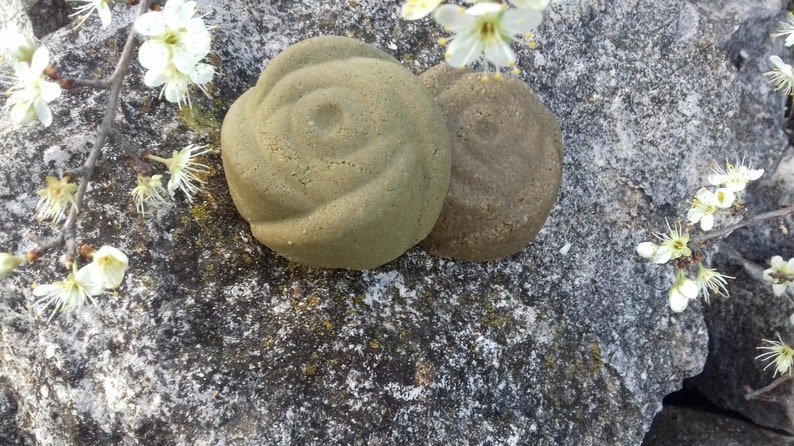 Ayurvedic Solid Shampoo Oily Hair Anti Dandruff Etsy