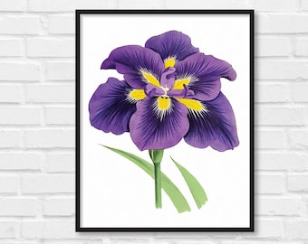 Floral Print / Botanical Print / Floral Clipart / Vintage Flower Illustration Print / DIY / Iris Print / Floral Print / Art Print [36]