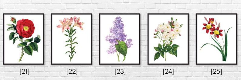 Floral Print / Botanical Print / Floral Clipart / Vintage Flower Illustration Print / DIY / Bluebell Print / Floral Print / Art Print 33 image 6