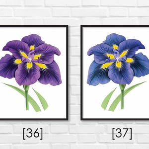 Floral Print / Botanical Print / Floral Clipart / Vintage Flower Illustration Print / DIY / Bluebell Print / Floral Print / Art Print 33 image 9