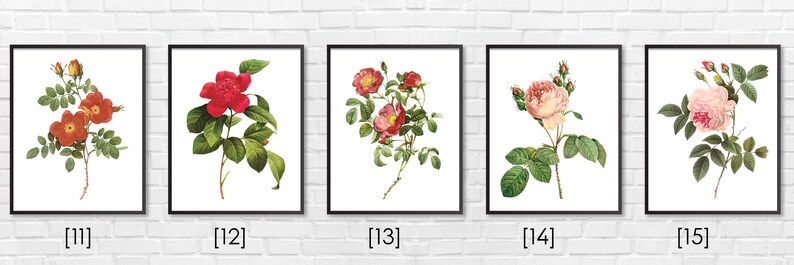 Floral Print / Botanical Print / Floral Clipart / Vintage Flower Illustration Print / DIY / Bluebell Print / Floral Print / Art Print 33 image 4