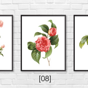 Floral Print / Botanical Print / Floral Clipart / Vintage Flower Illustration Print / DIY / Bluebell Print / Floral Print / Art Print 33 image 3