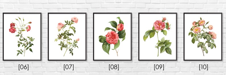 Floral Print / Botanical Print / Floral Clipart / Vintage Flower Illustration Print / DIY / Bluebell Print / Floral Print / Art Print 33 image 3