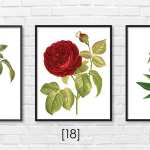 Floral Print / Botanical Print / Floral Clipart / Vintage Flower Illustration Print / DIY / Bluebell Print / Floral Print / Art Print 33 image 5