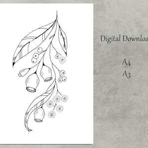 Op de afbeelding: Zwart-witte lijntekening van een eucalyptus tak met bladeren en bloemen. De afbeelding is een digitaal bestand dat beschikbaar is in de formaten A4 en A3.