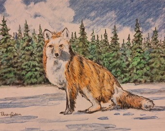 The Little Fox
