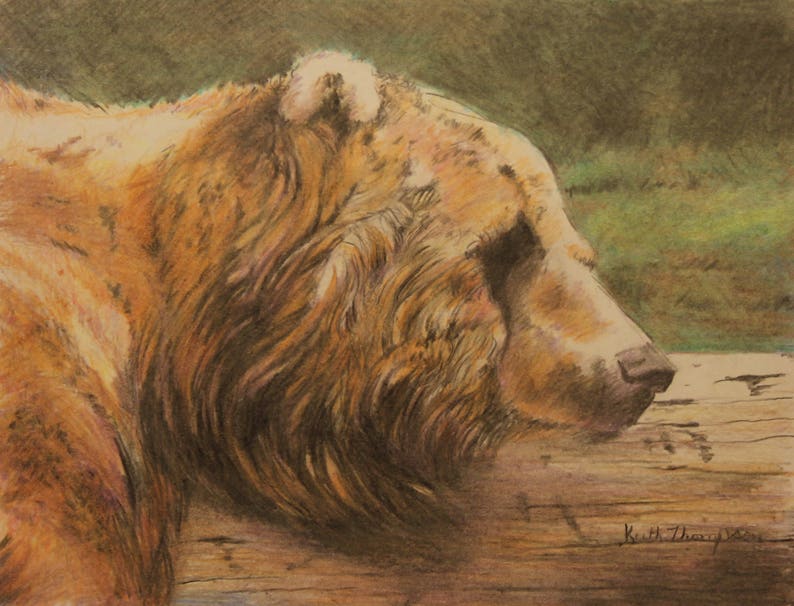Grizzly on a Log