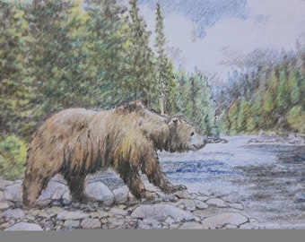 Grizzly Bear on the River