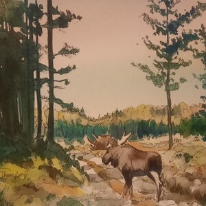 Grote Bull-eland van het noorden