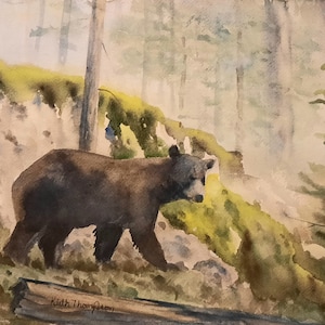 Black Bear In The Forest of Glacier National Park