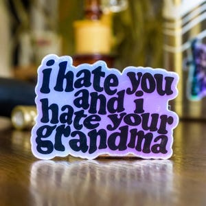 Eu odeio você e odeio sua avó - Adesivo holográfico, adesivo engraçado, decalque de meme para garrafas de água, carros, laptops, copos, garrafas térmicas