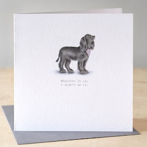 Zwarte spaniëlkaart. Verjaardagskaart spaniël. Grappige verjaardagskaart voor honden. Spaniëlillustratie.  Cocker-spaniël. Springerspaniël.
