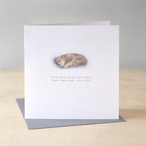 Biglietto d'auguri con un Border Terrier. Divertente biglietto d'auguri con un cane. Illustrazione di un Border Terrier. Biglietto per amanti dei cani. Biglietto con un cane per lui. Biglietto per un nuovo cane.