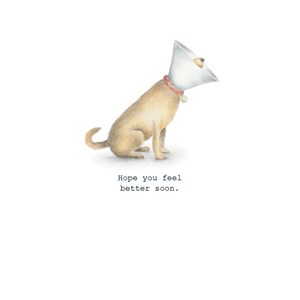 May include: A light brown dog wearing a white cone around its head. The dog is sitting on a white background. The text "Hope you feel better soon." is written below the dog.