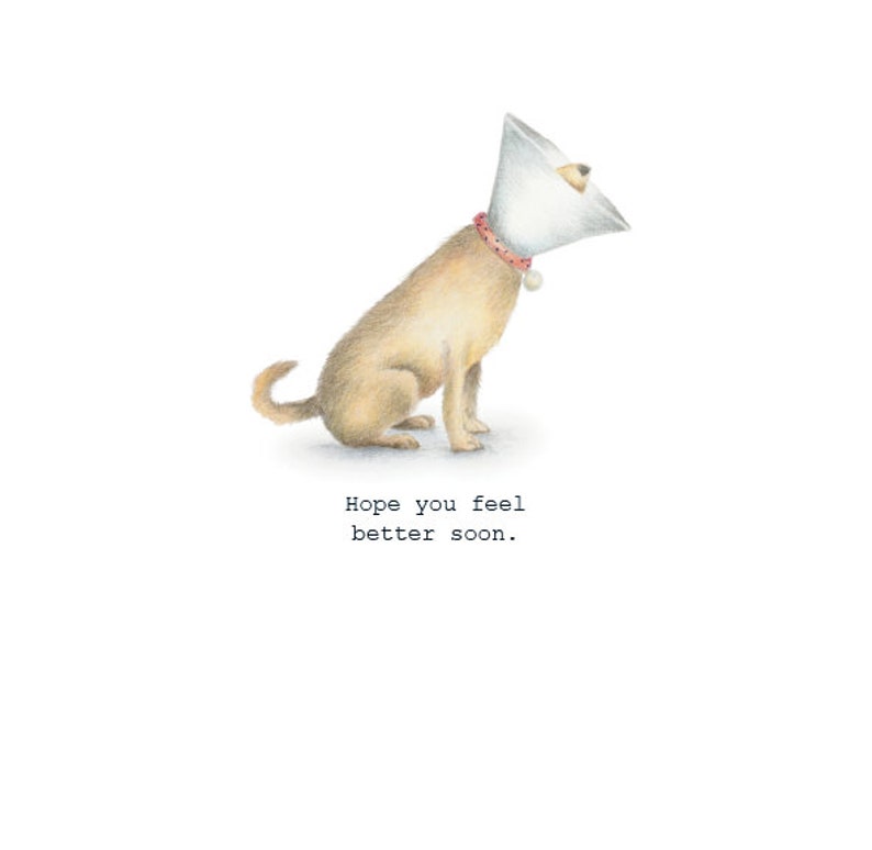 May include: A light brown dog wearing a white cone around its head. The dog is sitting on a white background. The text "Hope you feel better soon." is written below the dog.